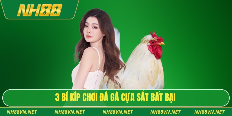 3 bí kíp chơi đá gà cựa sắt bất bại
