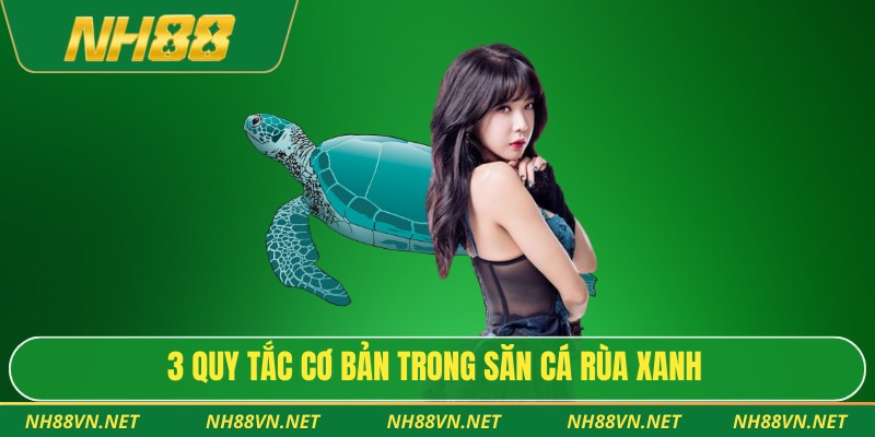 Bắn Cá Rùa Xanh - Hành Trình Chinh Phục Kho Báu Đáy Biển 3 3 quy tắc cơ bản trong săn cá rùa xanh