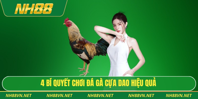 4 bí quyết chơi đá gà cựa dao hiệu quả