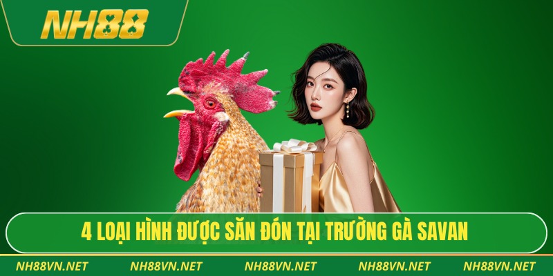 4 loại hình được săn đón tại trường gà Savan
