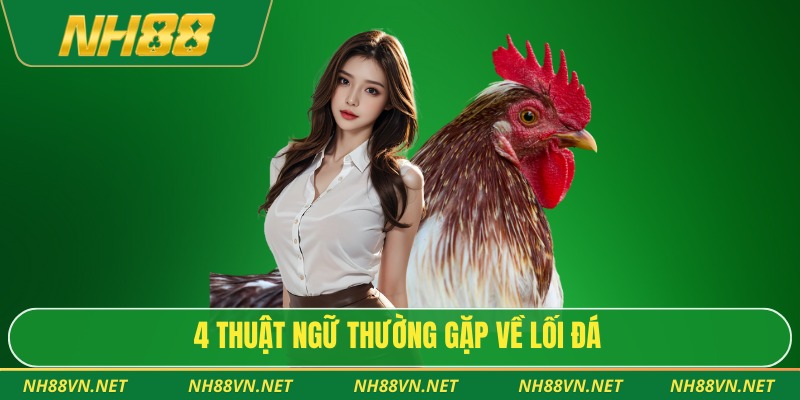 4 thuật ngữ thường gặp về lối đá