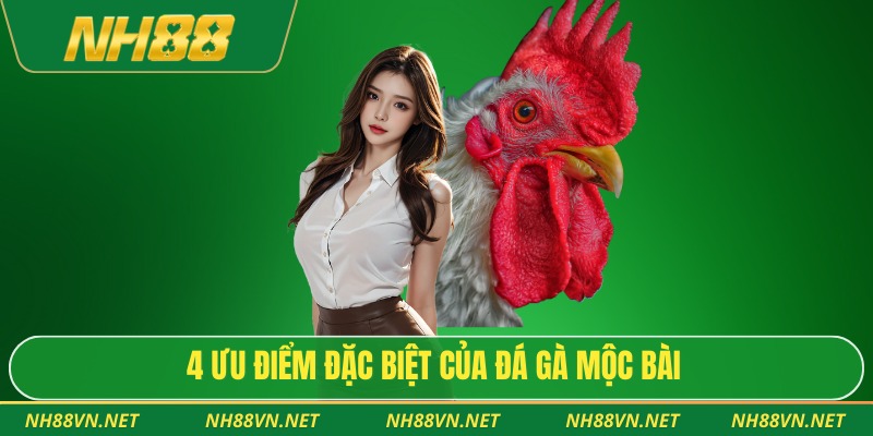 Đá Gà Mộc Bài – Trường Gà Tây Ninh Lớn Nhất Miền Nam 2025 2 4 ưu điểm đặc biệt của đá gà Mộc Bài