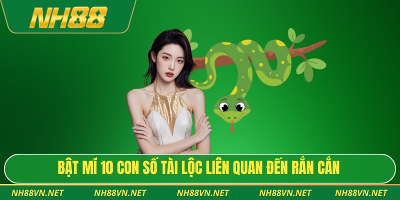 Mơ Thấy Rắn Cắn - Giải Mã Ý Nghĩa Và Gợi Ý Con Số Tài Lộc 4 Bật mí 10 con số tài lộc liên quan đến rắn cắn