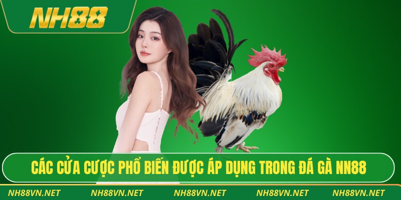 Các cửa cược phổ biến được áp dụng trong đá gà NH88