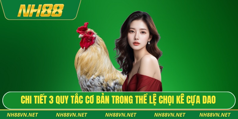 Chi tiết 3 quy tắc cơ bản trong thể lệ chọi kê cựa dao