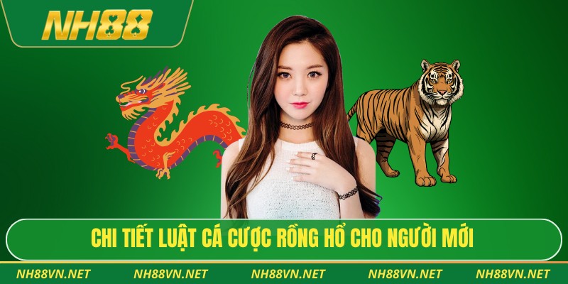 Rồng Hổ Online – Trải Nghiệm Cá Cược Tốc Độ Và Kịch Tính 4 Chi tiết luật cá cược rồng hổ cho người mới
