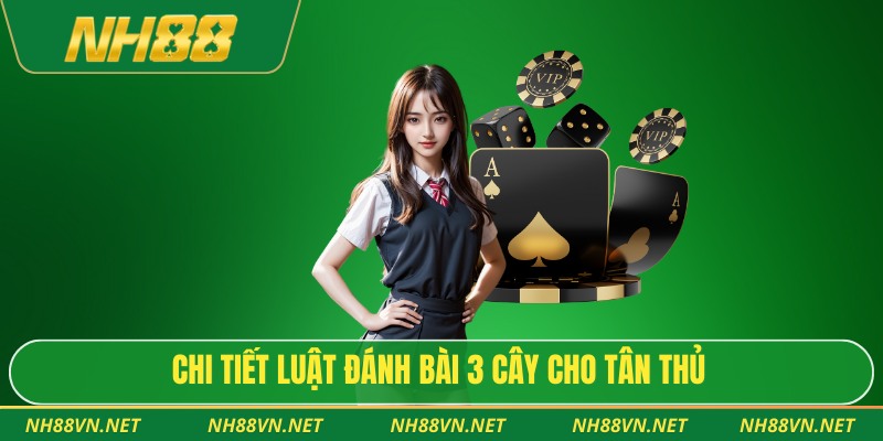 Bài Cào NH88 – Tựa Game Dân Gian Dễ Thắng, Luật Đơn Giản 3 Chi tiết luật đánh bài 3 cây cho tân thủ