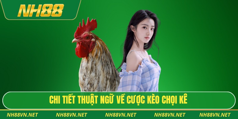 Chi tiết thuật ngữ về cược kèo chọi kê