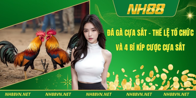 Đá Gà Cựa Sắt