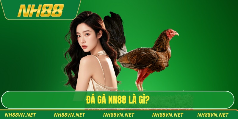 Đá gà NH88 là gì?