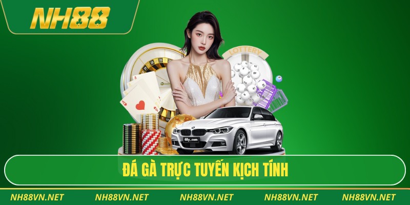 NH88 34 Đá gà trực tuyến kịch tính