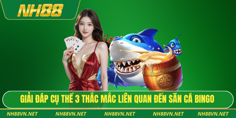 Bắn Cá Bingo: Hành Trình Săn Thưởng Cực Đã Tại NH88 4 Giải đáp cụ thể 3 thắc mắc liên quan đến săn cá Bingo