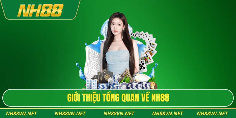 NH88 31 Giới thiệu tổng quan về NH88