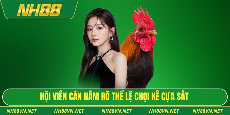 Hội viên cần nắm rõ thể lệ chọi kê cựa sắt