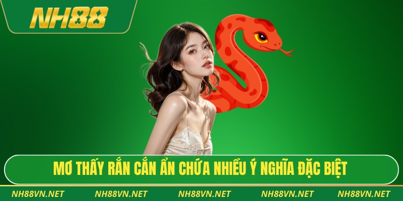 Mơ Thấy Rắn Cắn - Giải Mã Ý Nghĩa Và Gợi Ý Con Số Tài Lộc 2 Mơ thấy rắn cắn ẩn chứa nhiều ý nghĩa đặc biệt