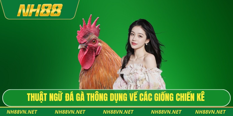 Thuật ngữ đá gà thông dụng về các giống chiến kê